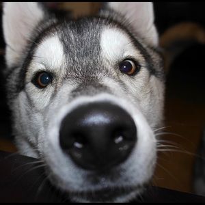 Meet your Posher, Vanessa